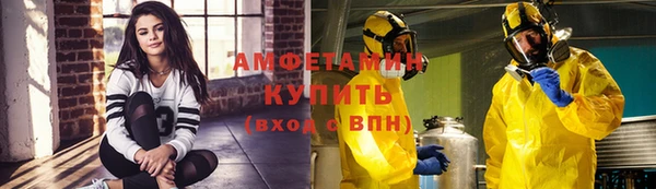 прущие грибы Верхний Тагил