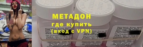 прущие грибы Верхний Тагил