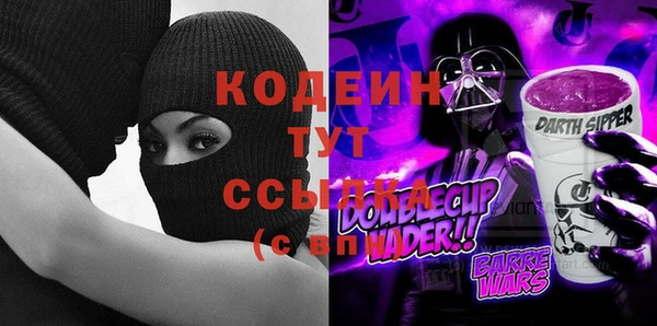 прущие грибы Верхний Тагил