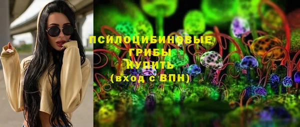 прущие грибы Верхний Тагил
