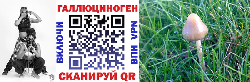 Галлюциногенные грибы прущие грибы  Купить где  Спасск-Рязанский 